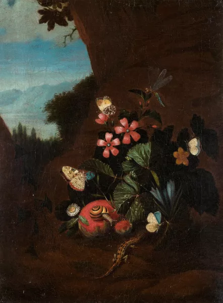Karl Wilhelm de Hamilton — Attribué à Hamilton, Karl Wilhelm de — zugeschrieben Stilleben mit Schmetterlingen, Schnecke und Eidechse