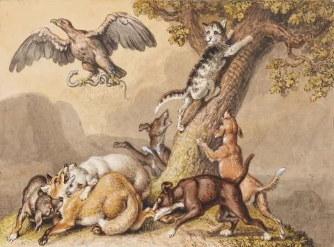 Johann Heinrich Wilhelm Tischbein — Die Katze flüchtet auf einen Baum und die Hunde beißen den Fuchs