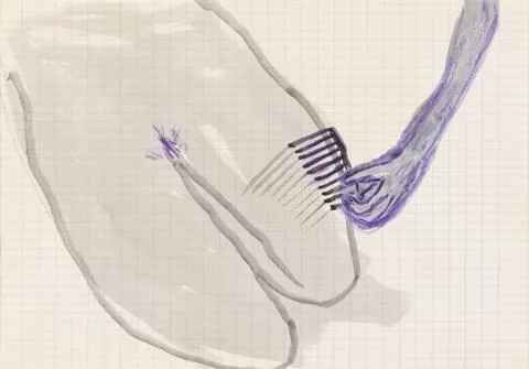 Rosemarie Trockel — Ohne Titel