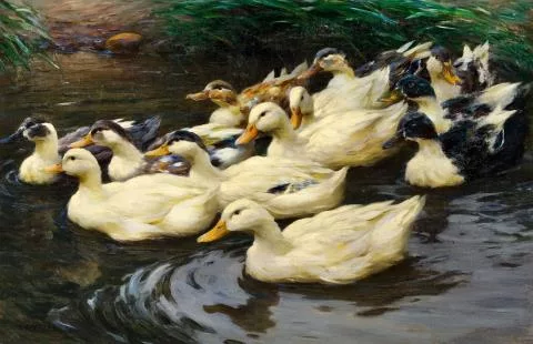 Alexander Koester — Enten im Teich