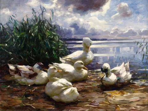 Alexander Koester — Enten am Seeufer