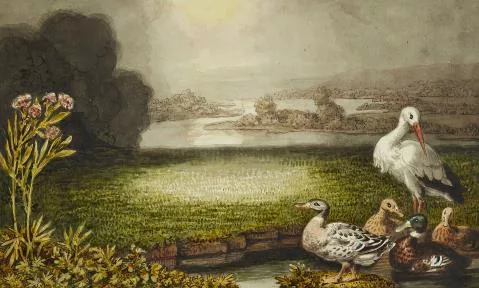 Johann Heinrich Wilhelm Tischbein — Storch und Enten in Sommerlandschaft Dazu: Zwei Bleistiftskizzen mit Störchen