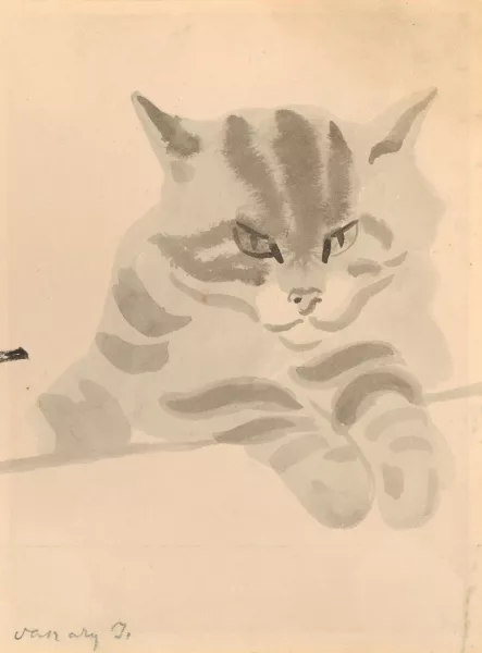 ヴァサリ・ヤーノシュ — Katze