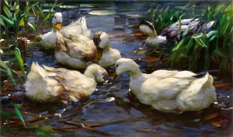 Alexander Koester — Fünf Enten im Teich