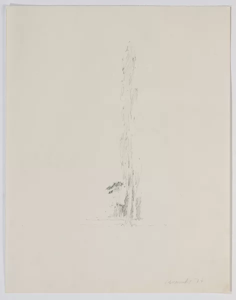 Joannis Avramidis — Arbre