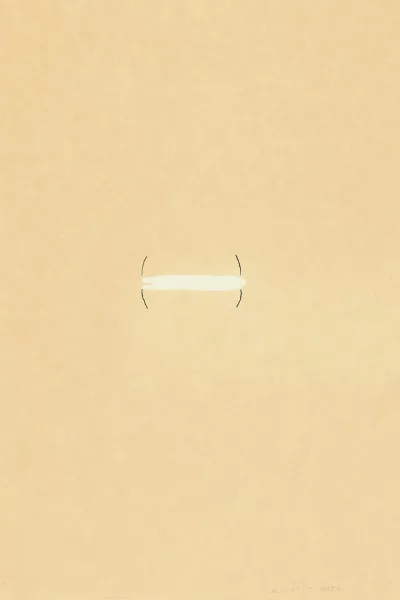 Richard Tuttle — Ohne Titel, 1973