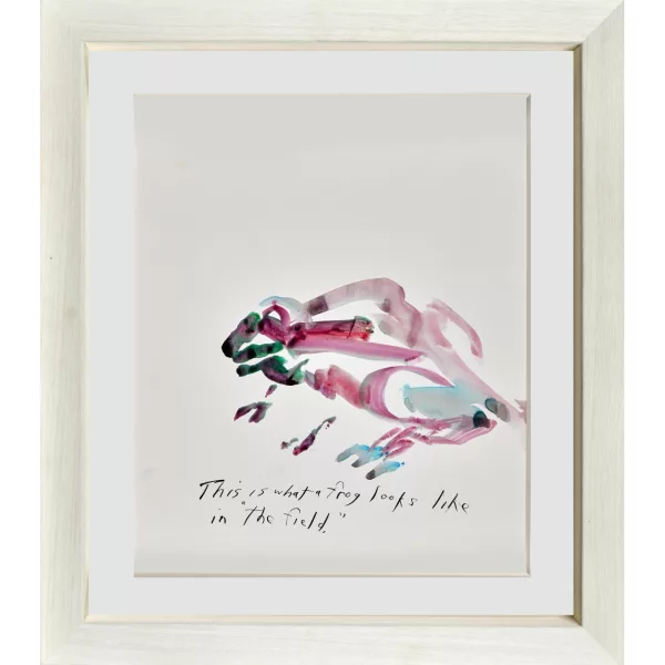 Raymond Pettibon — "This is what a frog looks like in the field".