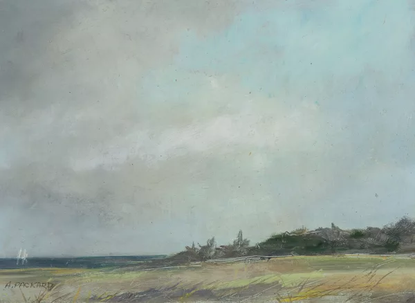 Anne Packard — Weite Küstenlandschaft