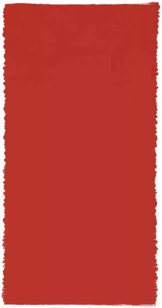 Bernard Aubertin — Nouveau Rouge N° 19, 1998