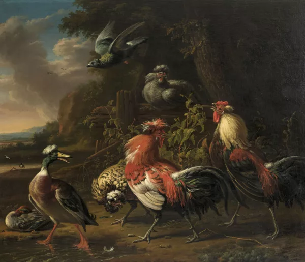 Melchior d'Hondecoeter — Suiveur de Melchior de Hondecoeter — Scène de basse-cour