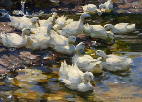 Alexander Koester — Enten im Wasser