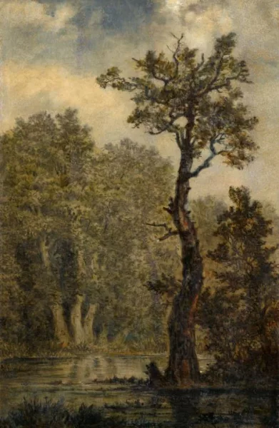 Carl Gustav Carus — Waldlandschaft