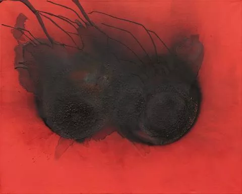 Otto Piene — I fly
