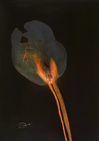 Otto Piene — Senza titolo