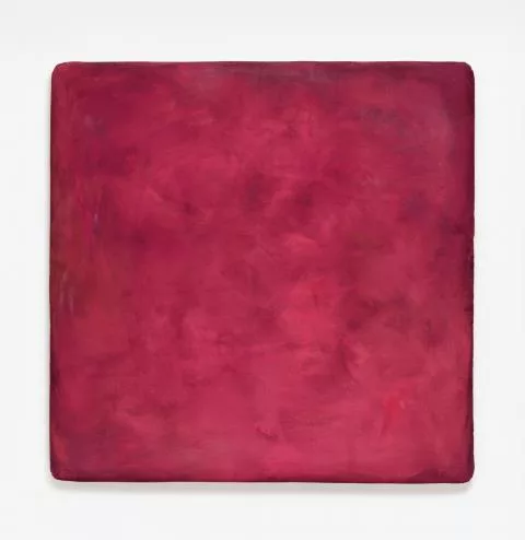 Gotthard Graubner — Farbraumkörper I