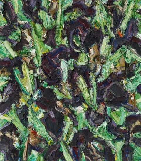 Ralph Fleck — Feldstück 12/III IRIS