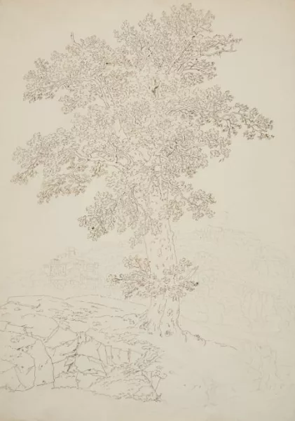Jakob Philipp Hackert — Ansicht von Montelupo und Capraia