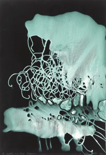 Sigmar Polke — Sans titre