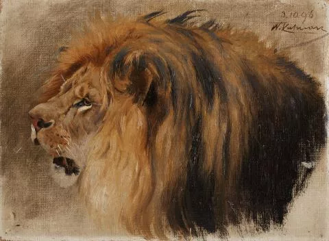 Friedrich Wilhelm Kuhnert — Kopf eines Löwen