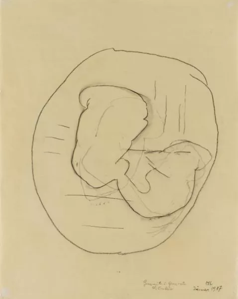 Maria Lassnig — Grossmutter und Grossvater als Embrio