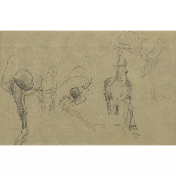 Henri de Toulouse-Lautrec — "Étude de chevaux".