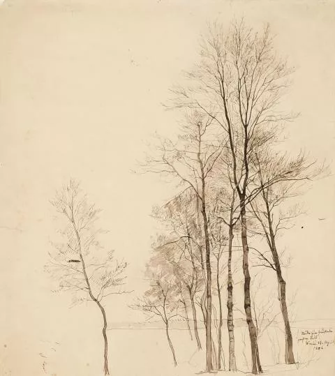 Paul Baum — Bäume ohne Laub (Studie)