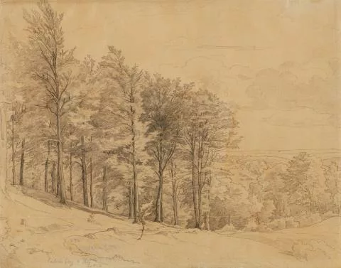Adrian Ludwig Richter — Bewaldete Landschaft