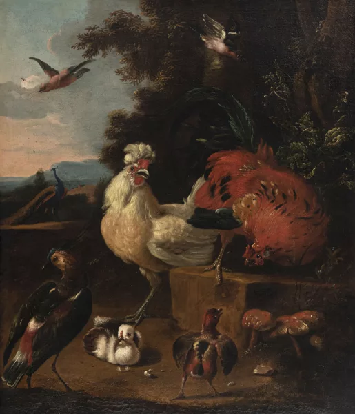 Melchior d'Hondecoeter — Nature morte aux oiseaux