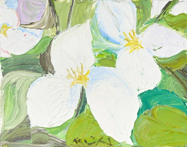 Roger Mühl — Trille blanc
