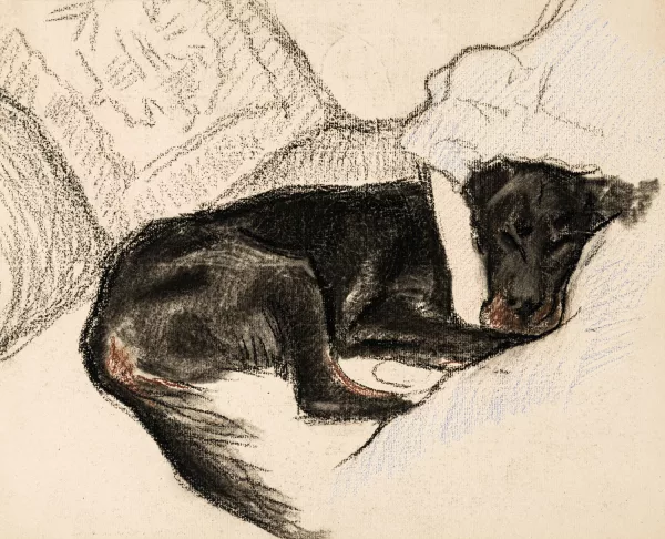 Théo Van Rysselberghe — Chien endormi,