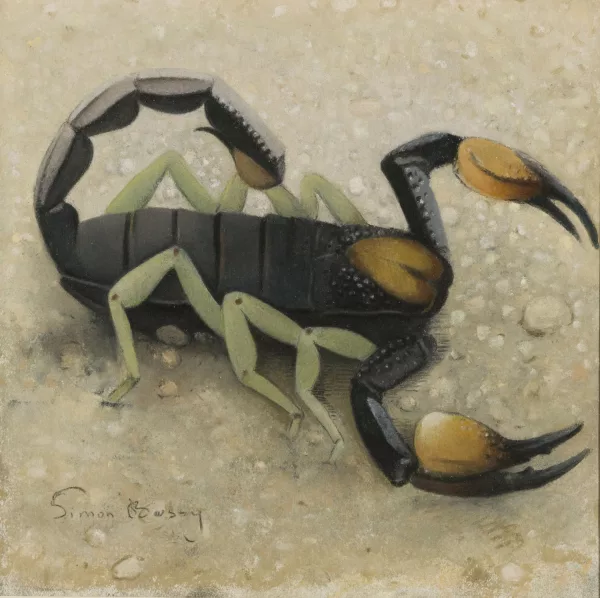 Simon Bussy — Scorpion