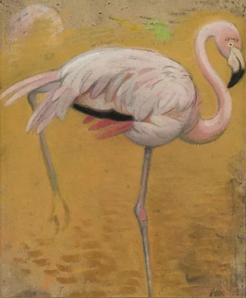 Simon Bussy — Flamand rose