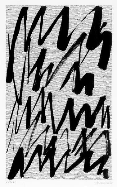 Jan Schoonhoven — T81-41, 1981