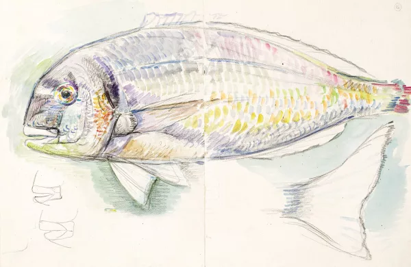 Théo Van Rysselberghe — ),