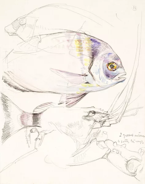 Théo Van Rysselberghe — Dorade et Homard,