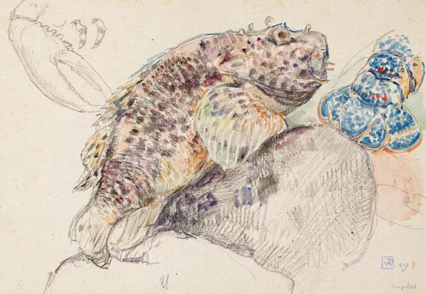 Théo Van Rysselberghe — Etude rascasse et homard,