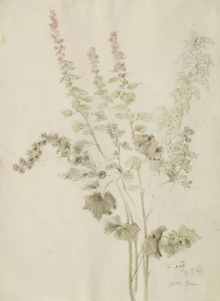 Friedrich Nerly — Herbstliche Malvenblüten