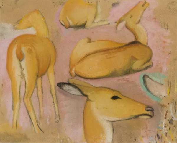 Simon Bussy — Impalas