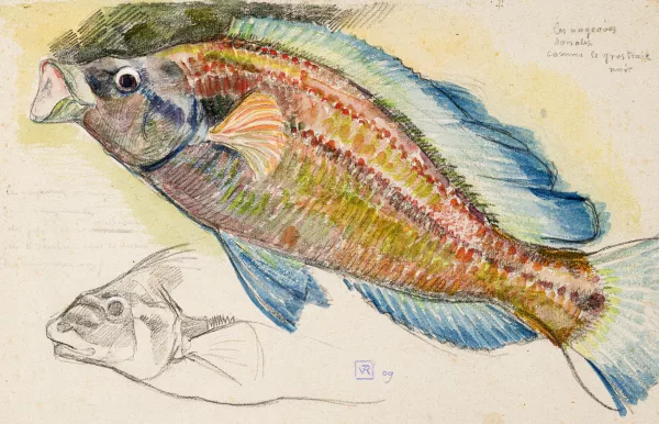 Théo Van Rysselberghe — Poisson multicolore