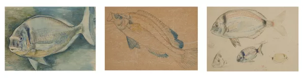 Théo Van Rysselberghe — Etude de poissons,