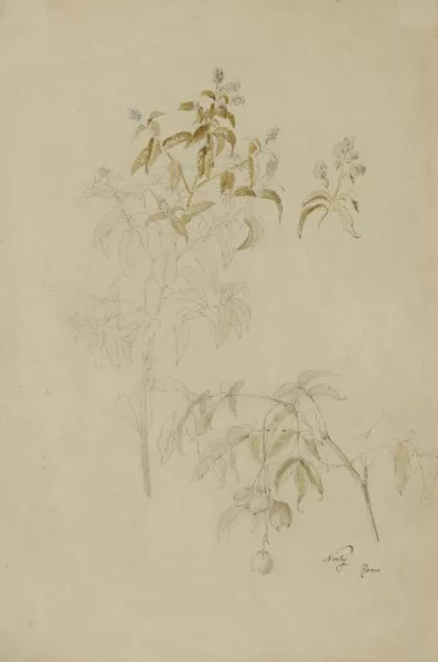 Friedrich Nerly — Mispeln und Lobelien