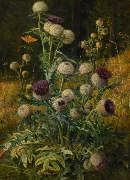 Auguste Döll — Chardons et papillon