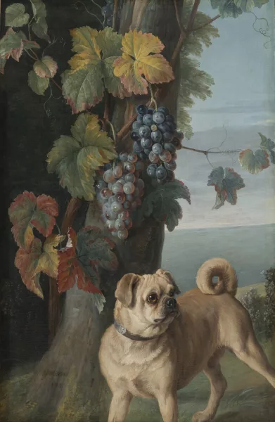 Claude-François Desportes — École de Claude François Desportes — Le carlin,