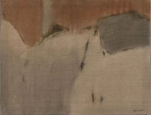 Rajendra Dhawan — Sans titre