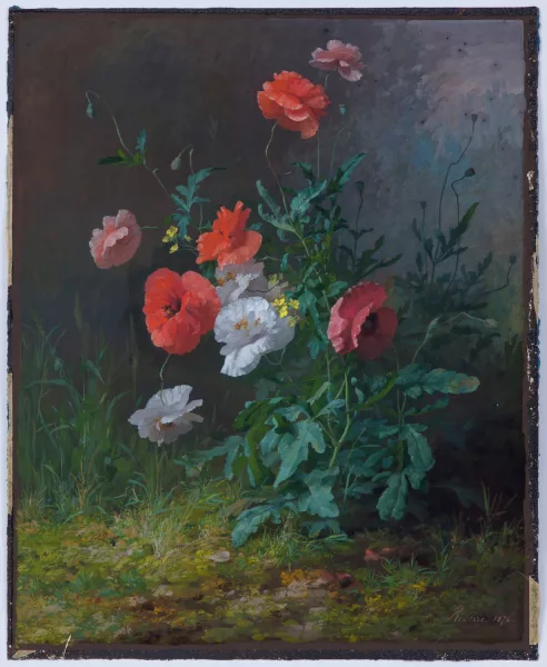 François Rivoire — Coquelicots