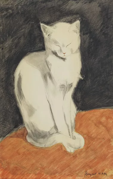 Jacques Nam — Chat