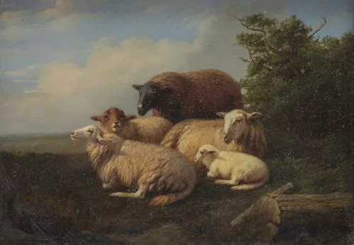Eugène Rémy Maes — Attribué à Eugène Rémy MAES — Troupeau de moutons au repos