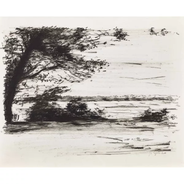 Philippe Cognee — Landschaft.
