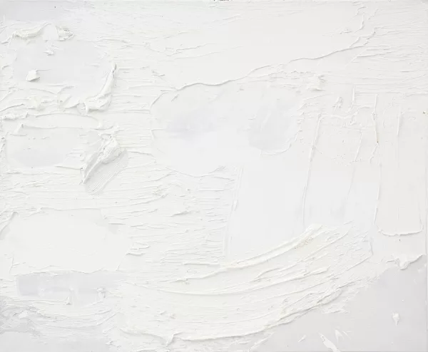 François Aubrun — Monochrome blanc