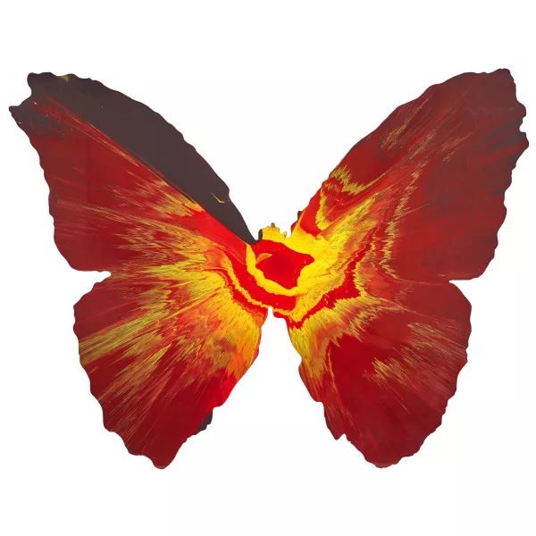 Damien Hirst — Spin Painting (Butterfly).